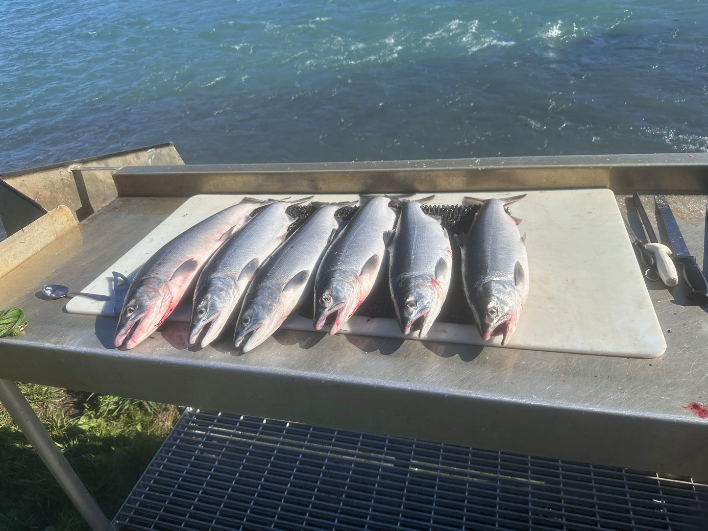 Fish Alaska 2026 - RSVP Deposit (private invite only)